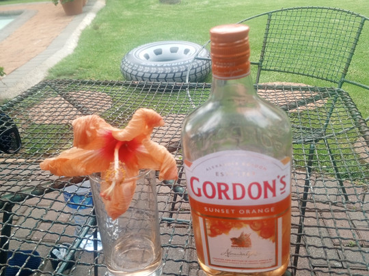 Khayamanzi Guesthouse主图