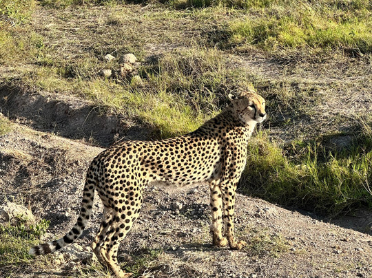 Enjoy Collection Tours and Safaris-马林地必去景点