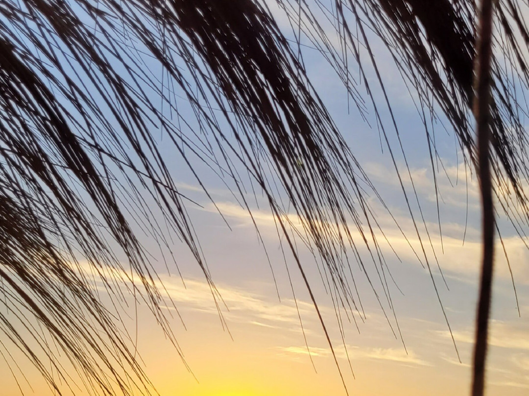 Jazz en Vivo en OLAF Parador