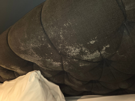 The Dean Dublin主图