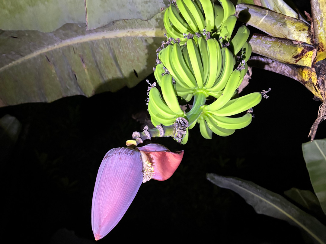 Santa Lucia Falls-乌维塔必去景点