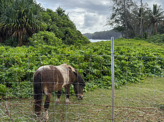 Sandy Cheeks Tours-马卡瓦必去景点