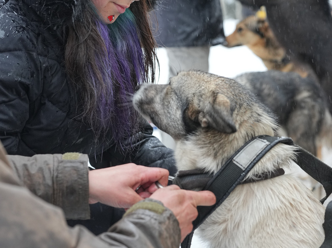 Durango Dog Ranch-杜兰戈必去景点