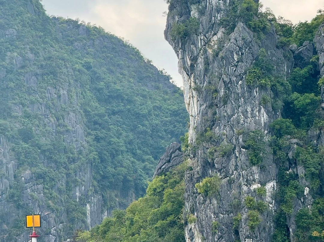 Blue Swimmer Adventures-卡巴必去景点