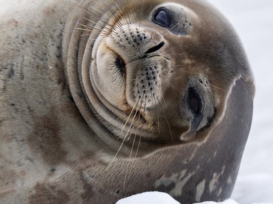 Backcountry Journeys-弗拉格斯塔夫必去景点