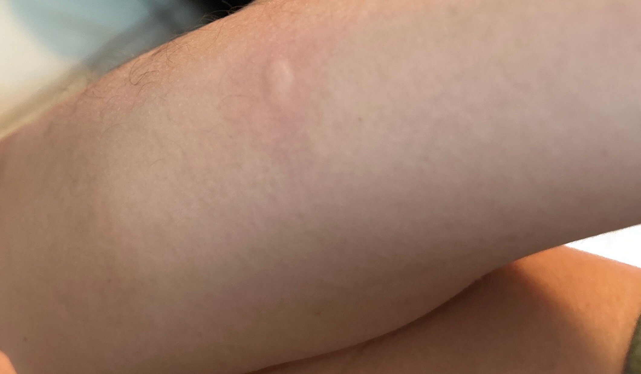 Hotel Metropole Residence-官方