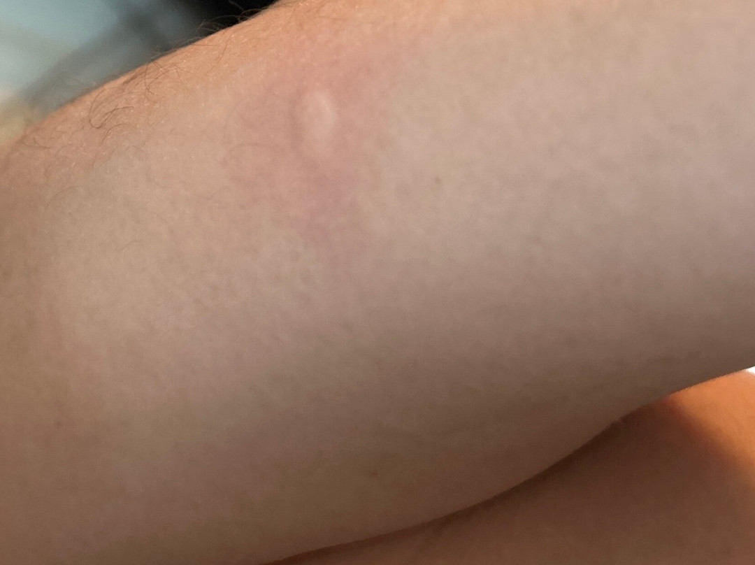 Hotel Metropole Residence主图