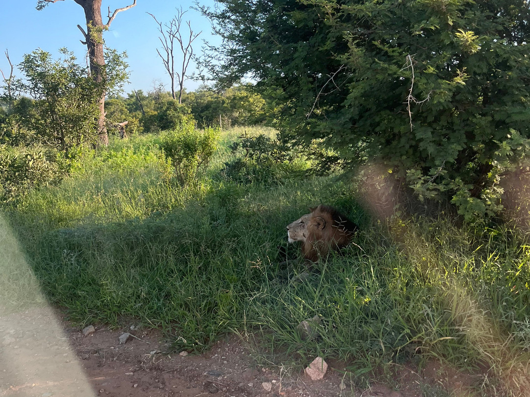 Southern Kruger Safaris-玛洛斯帕克必去景点