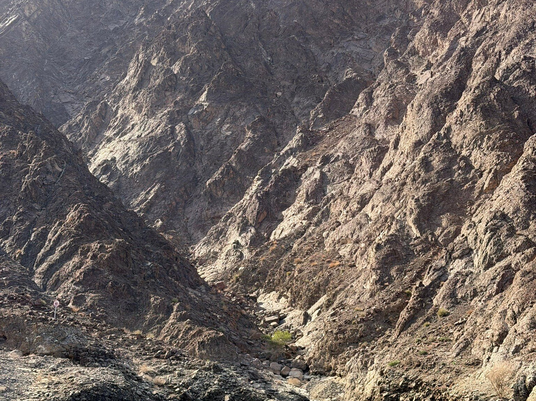 Hatta Kayak-迪拜必去景点