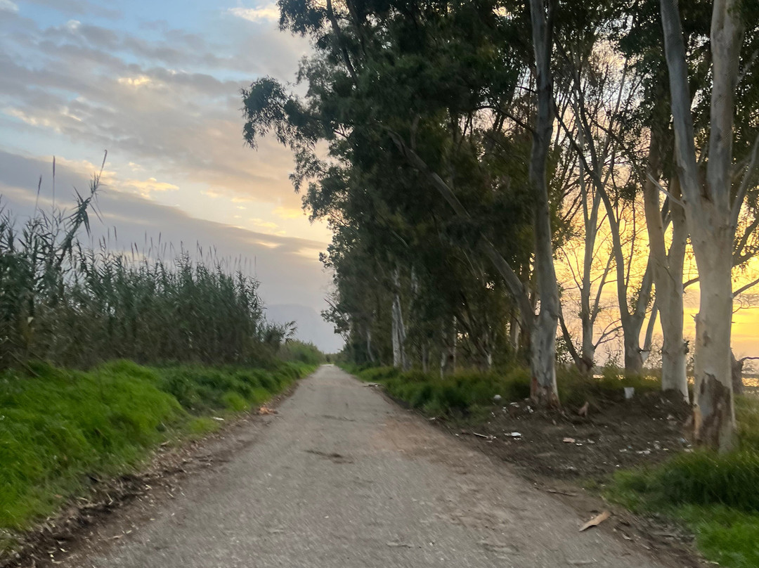 Messolonghi by Locals-Mesolongion必去景点