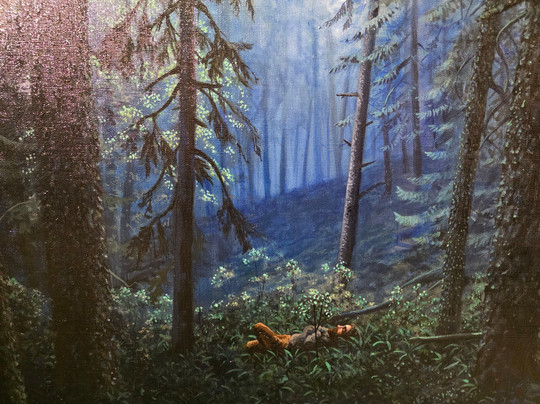 The World of Insects