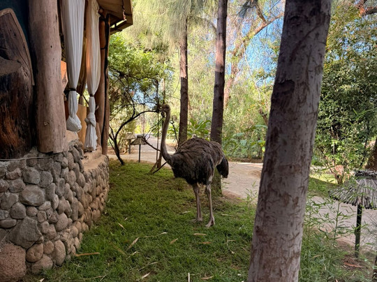 Flynisha Tours & Travel-Ruiru必去景点