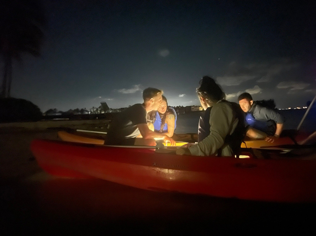 Cayman Kayaks-Rum Point必去景点