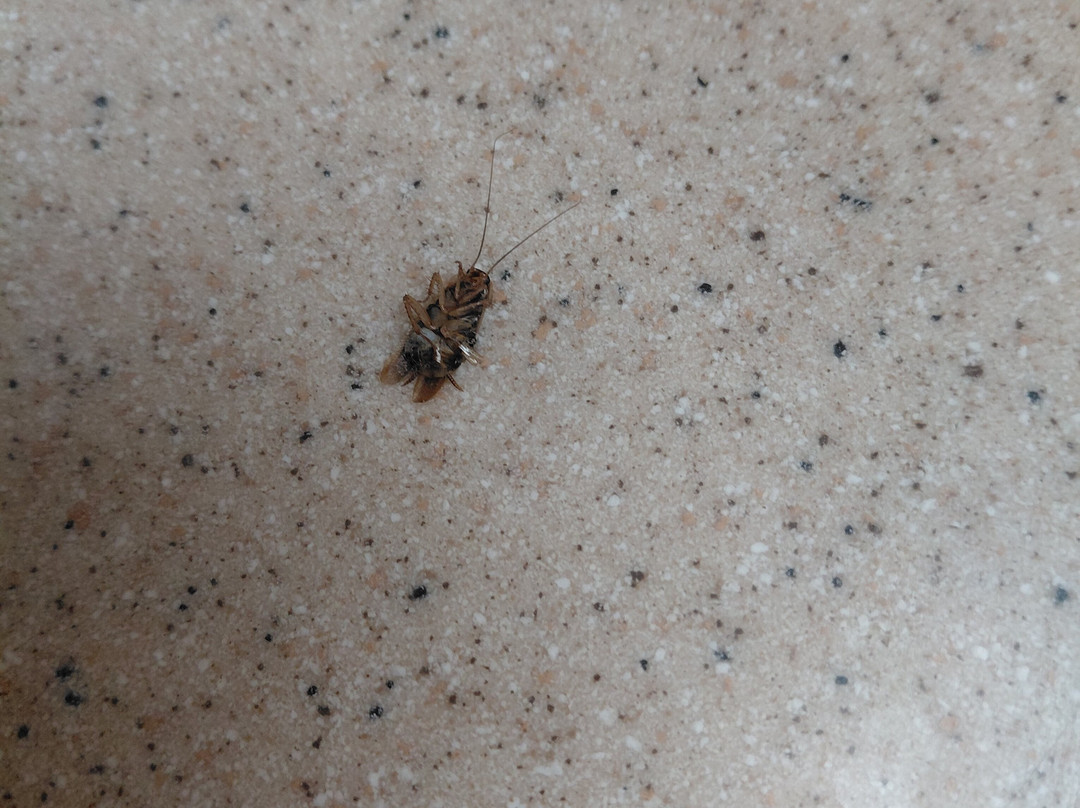 Hotel M, Mount Pocono主图