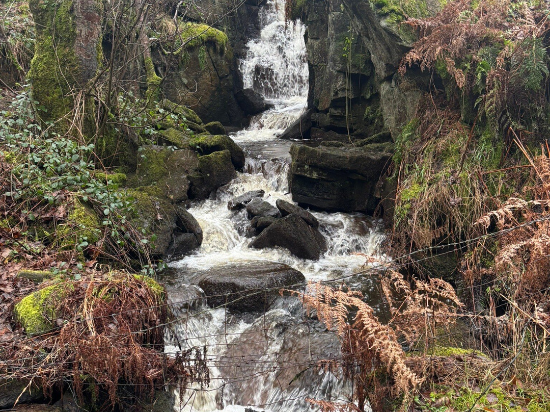 Hebden Bridge Canalside-Hebden Bridge必去景点