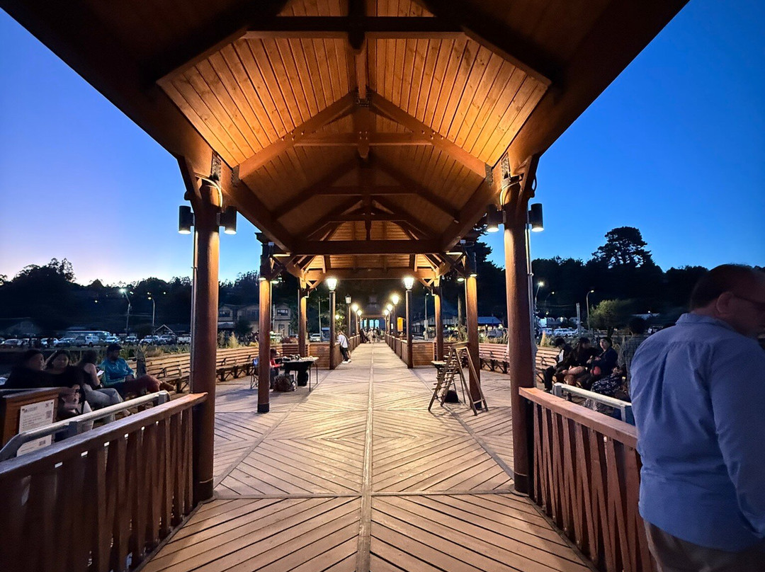 Muelle Frutillar-Frutillar必去景点