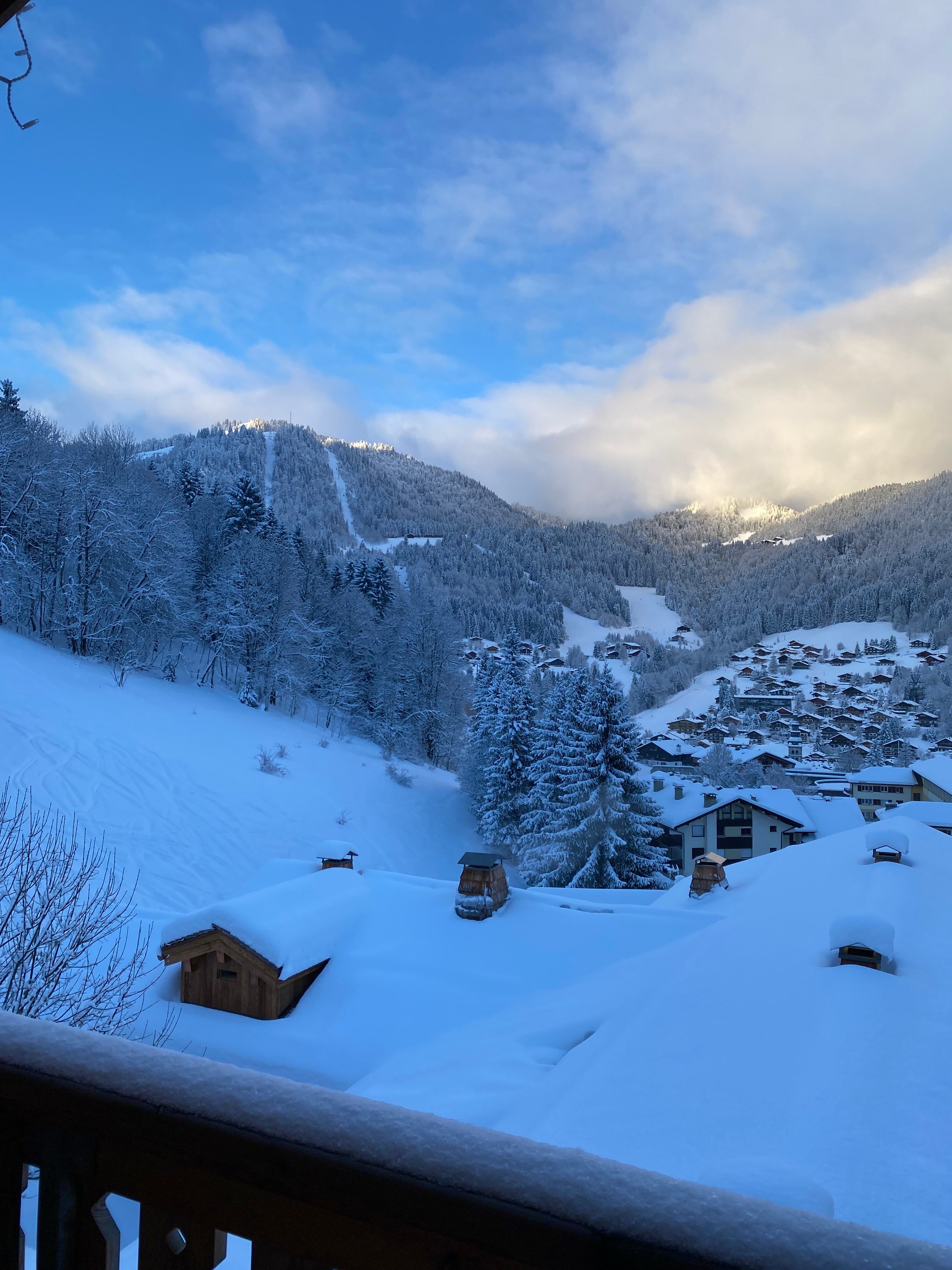 布尔加德酒店-官方