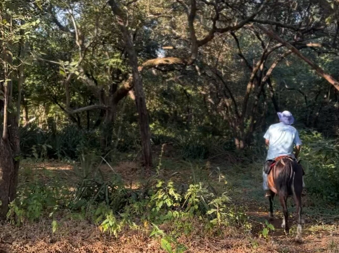 Black Stallion Eco Park & Estates-圣塔克鲁斯必去景点