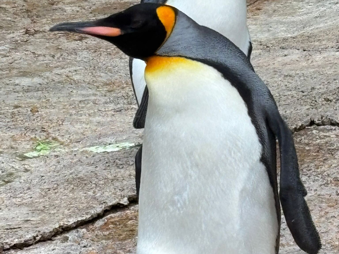 鸟园-水上伯顿必去景点