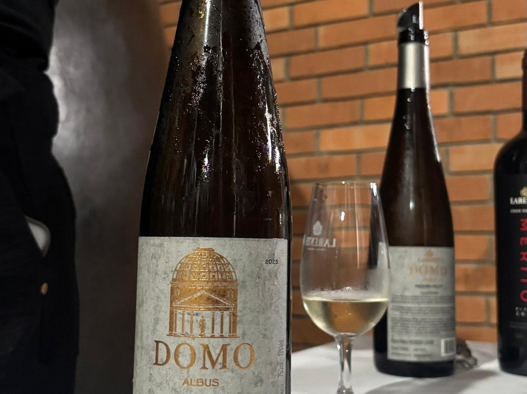 Vinhos Larentis-本图贡萨尔维斯必去景点