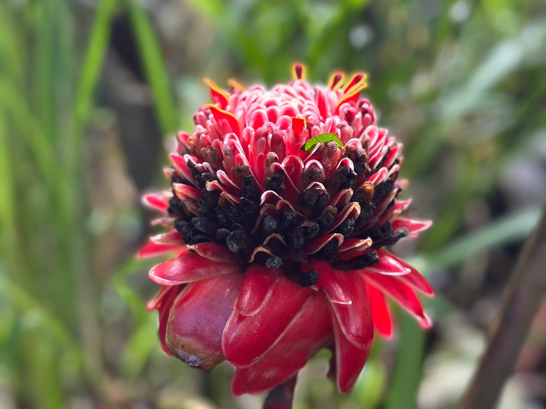 Matt's Fishing & Tours-萨迪纳尔必去景点