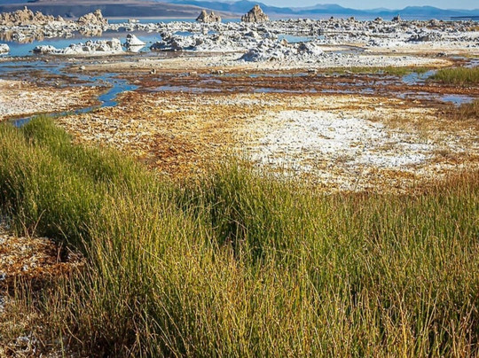 Mono Lake Tufa State Natural Reserve-利韦宁必去景点
