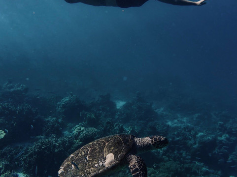 Picco Graphy-Fulidhoo必去景点