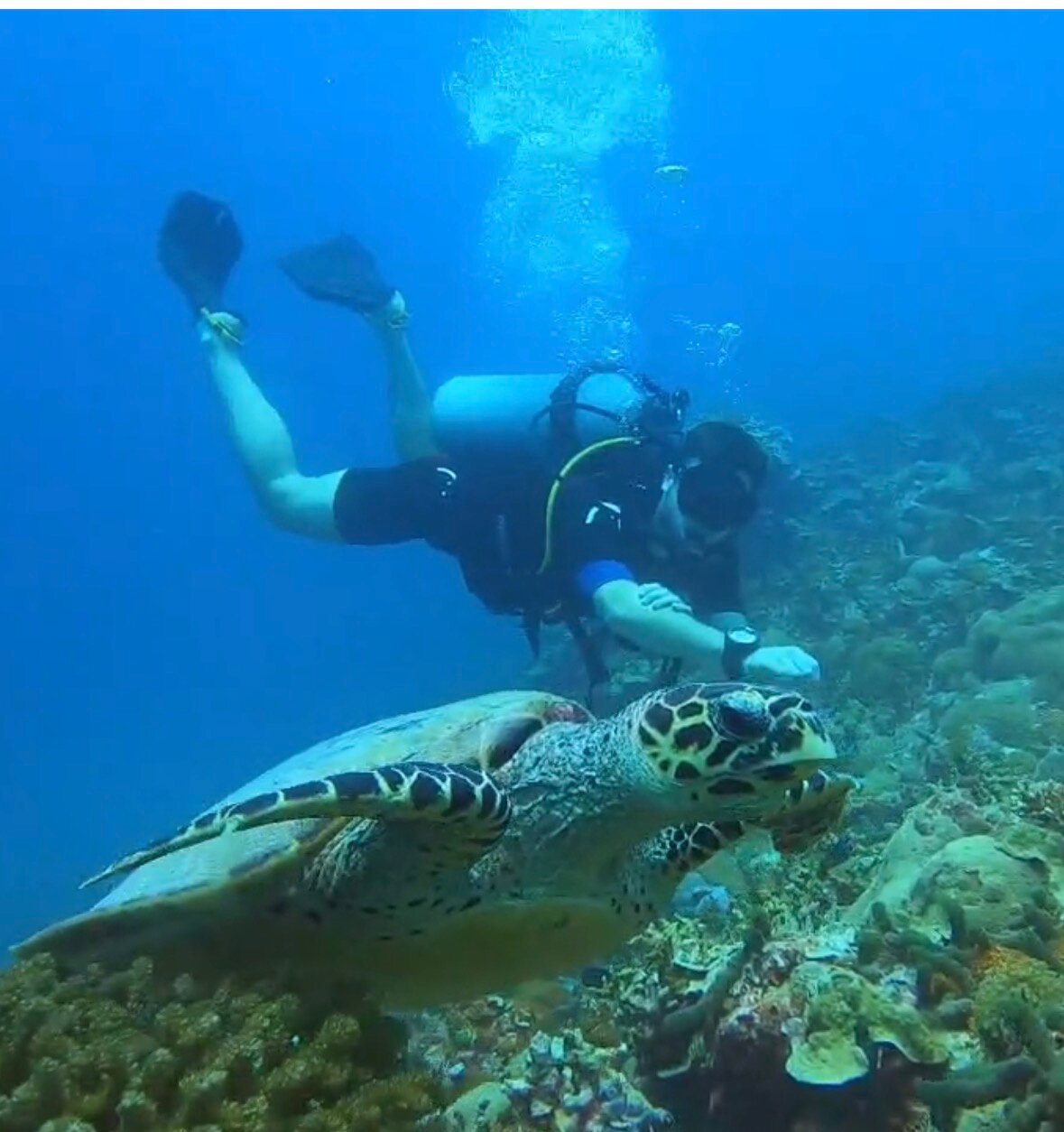 玛昆杜岛度假村-官方