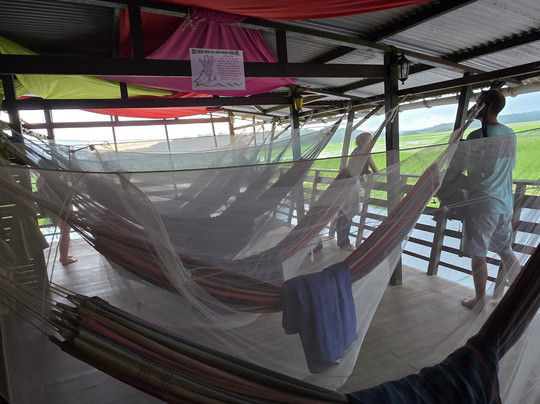 Ecolodge Flottant - Marais de Kaw-Regina必去景点