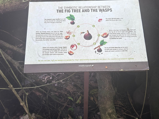 Goolonukos-塔马林多必去景点