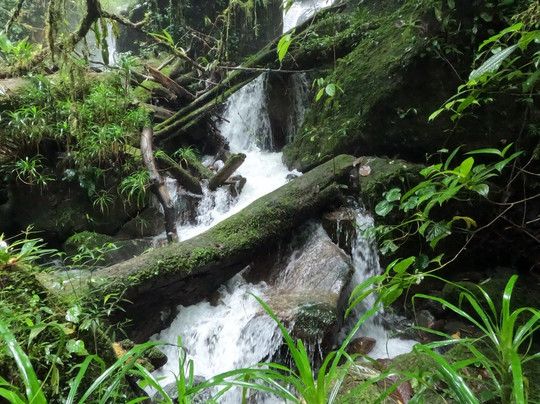 Coffee Mountain Inn主图