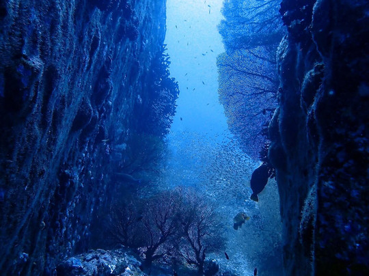 Wetzone Divers-拉克山必去景点