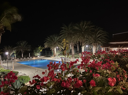 Pestana Tropico主图