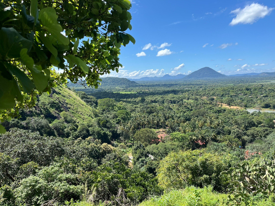 Sri Lanka Brothers Tour-尼甘布必去景点