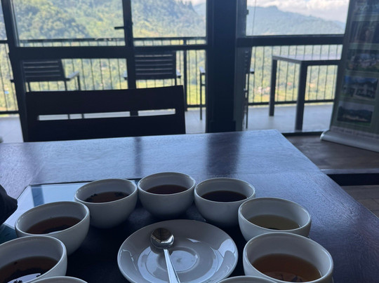 Oak Ray Tea Factory & Museum-拉马伯达必去景点