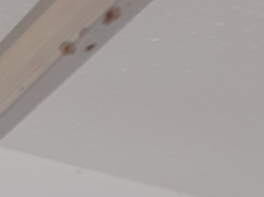 Travelodge Newcastle Whitemare Pool主图