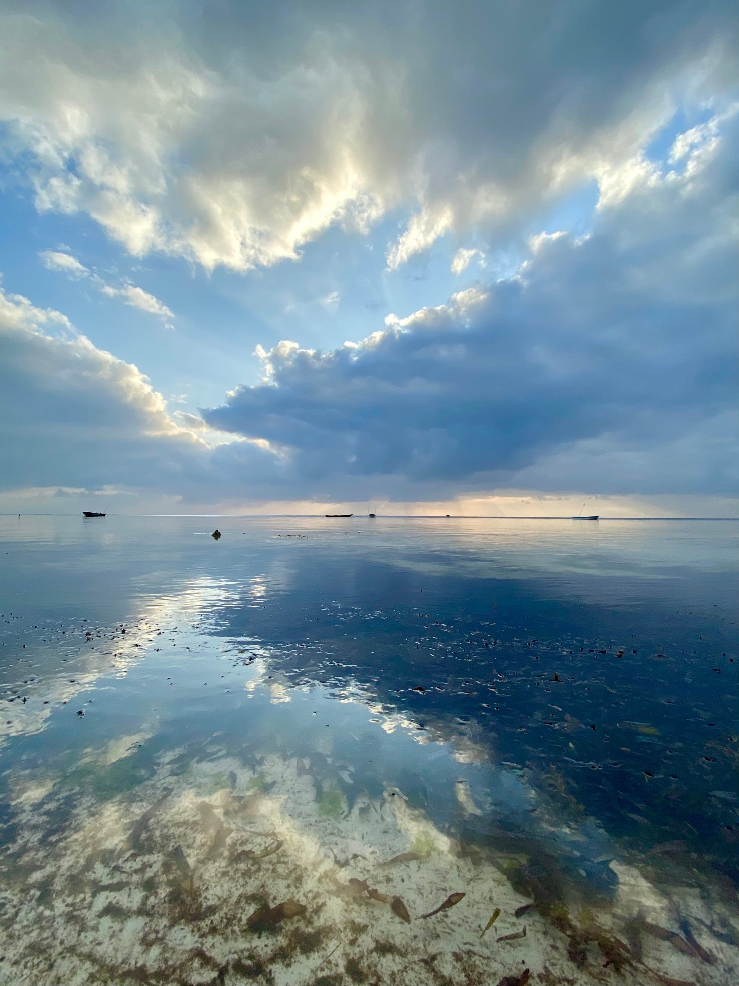 Baobab Sea Lodge-官方