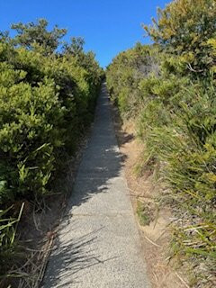 Cape Bruny Lighthouse Tours-布鲁尼岛必去景点