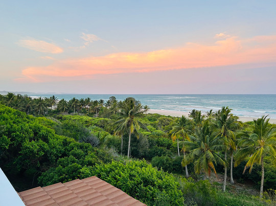 SAFARI, DRIVE & DIVE TOURS-Inhambane必去景点