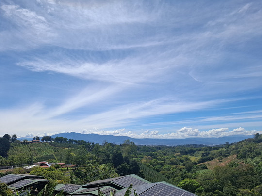 Hacienda Alsacia Starbucks Coffee Farm-Sabanilla必去景点