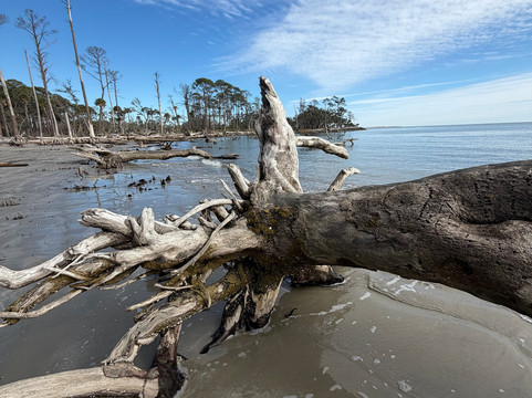 St. Phillips Island Ferry-Saint Helena Island必去景点
