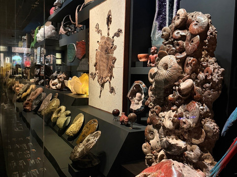 Museo La Milarca-圣佩德罗加尔萨加西亚镇必去景点