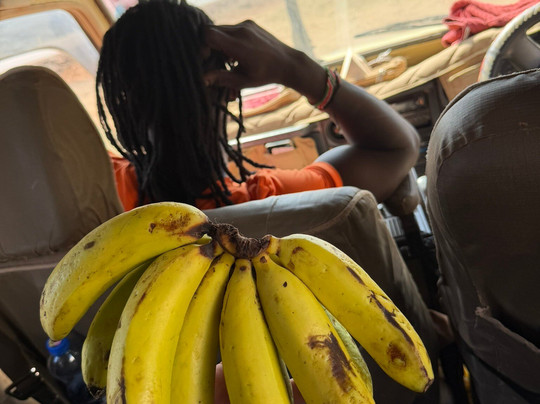 Nero Guida Turistica-瓦塔木必去景点