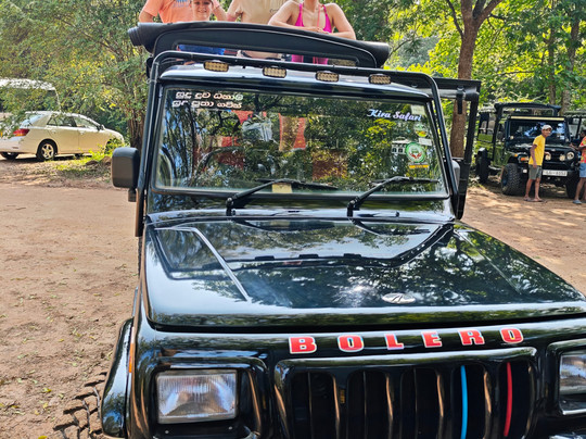 Safari Booking Sri Lanka-Hingurakgoda必去景点