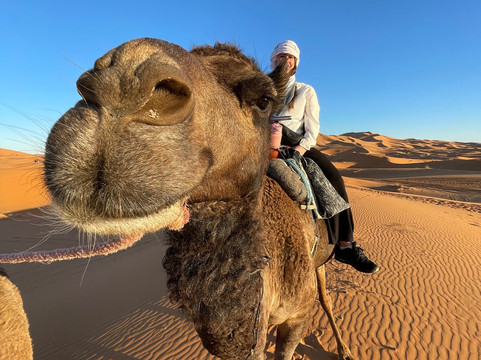 Spirit of Morocco-阿伊特·本·哈杜筑垒村必去景点