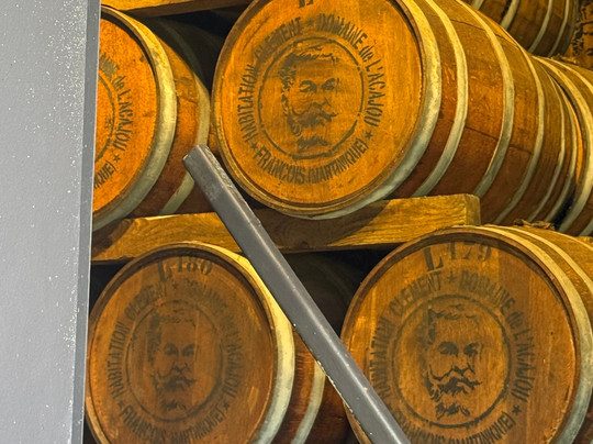 Habitation Clement-Le Francois必去景点