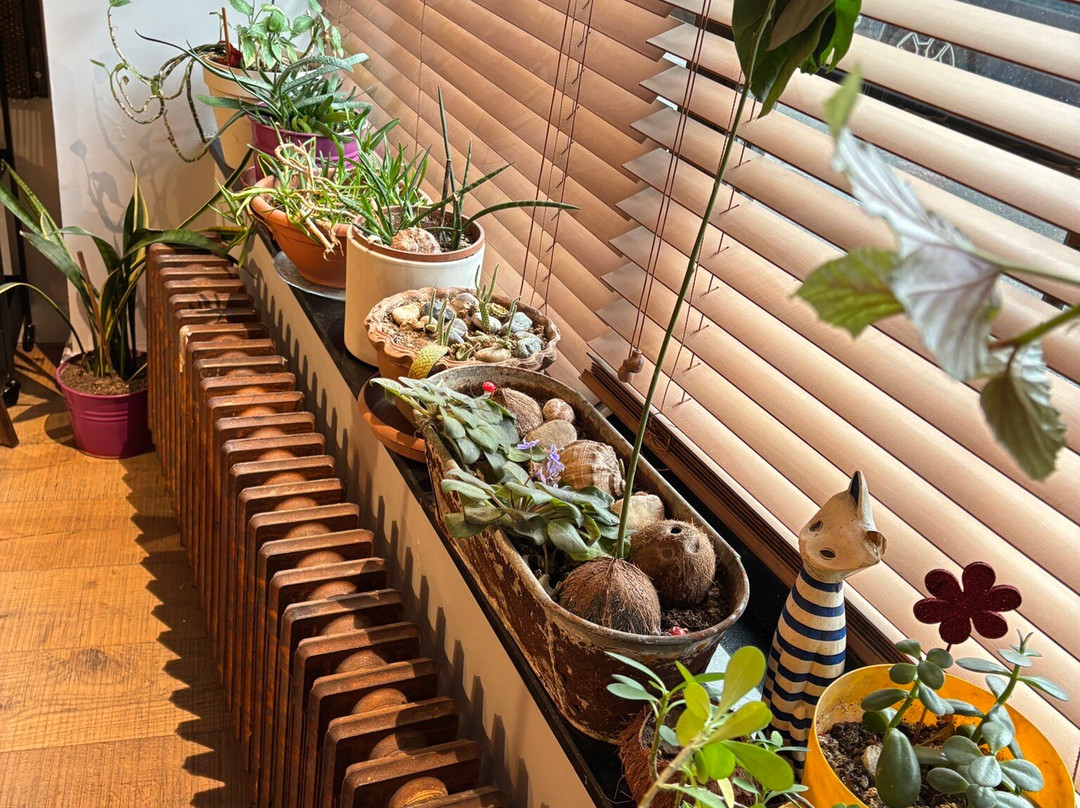 Cookistan Istanbul Cooking Classes-伊斯坦布尔必去景点