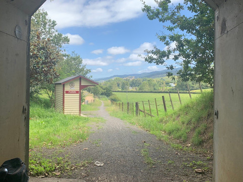 Hauraki Bike Hire-派罗瓦必去景点