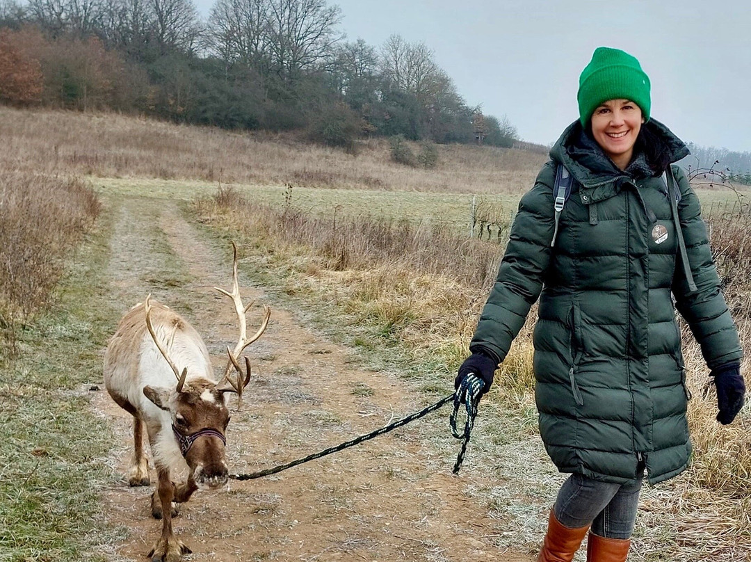 Rentieralm-Niederhausen必去景点