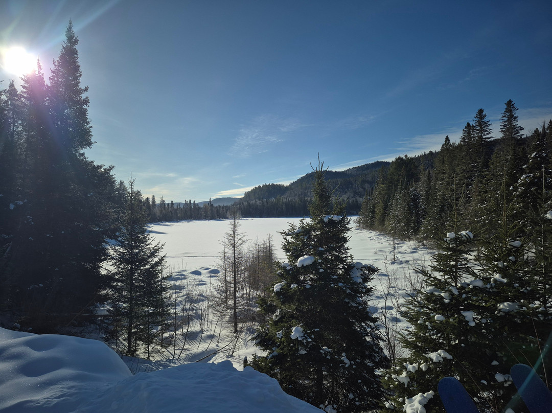 Les Boisés De La Rivière Noire